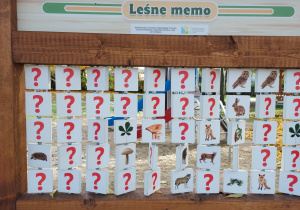 Leśne memo