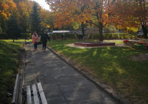 panie prowadza Alpaki do dzieci