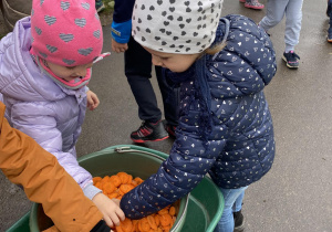 Dzieci na wycieczce w mini zoo Dobronianka