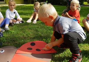 przyklejanie kropek papierowej biedronce, zabawy w ogrodzie