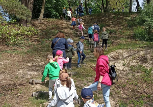 ścieżka edukacyjna po lesie.