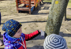 Średniaki szukają barw w przyrodzie.