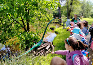 Pani przewodnik omawia dinozaura.