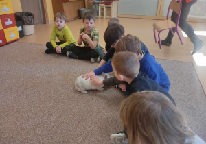 Zajęcia edukacyjne z królikiem