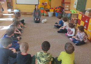 Zajęcia edukacyjne z królikiem