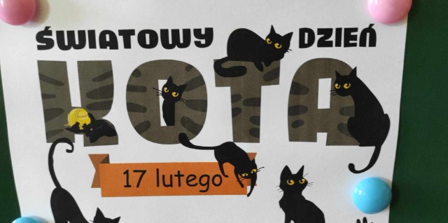 Dzień kota w grupie III - Obrazek 1