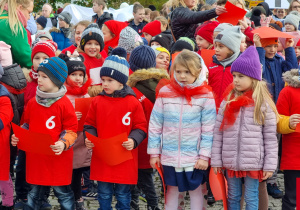 Słoneczka na Placu Jana Pawła II przed Urzędem Miasta Zgierza.