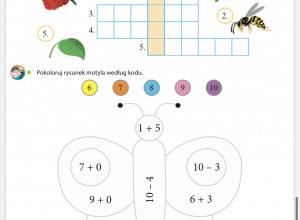 Zabawy matematyczne