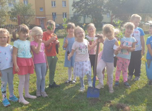 "Zajaćzki" i "Słoneczka" sadzą drzewka