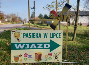 Wycieczka do pasieki w Lipce.