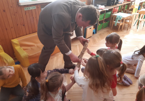 Oglądanie konaru ze śladami zębów bobra.
