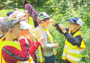 Dzieci zwiedzają Las Łagiewnicki