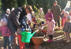 Sadzenie drzewek w ogrodzie przedszkolnym