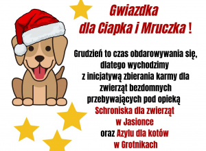 Plakat na temat akcji