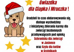 Plakat na temat akcji
