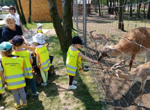 Karmienie zwierząt w zoo