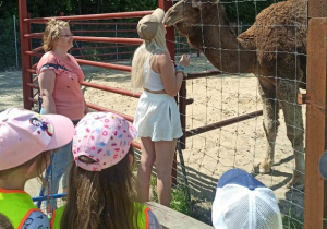 Karmienie zwierząt w zoo