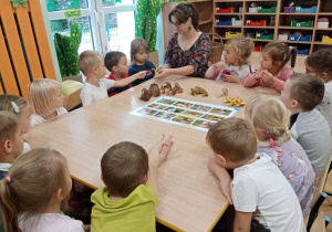 Grzyby w polskich lasach - Żabki poznają grzyby jadalne