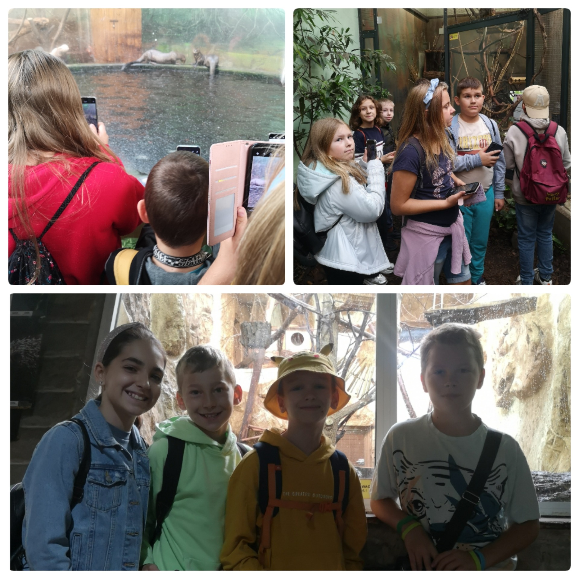 Klasy 4 w Łódzkim Ogrodzie Zoologicznym - Obrazek 5