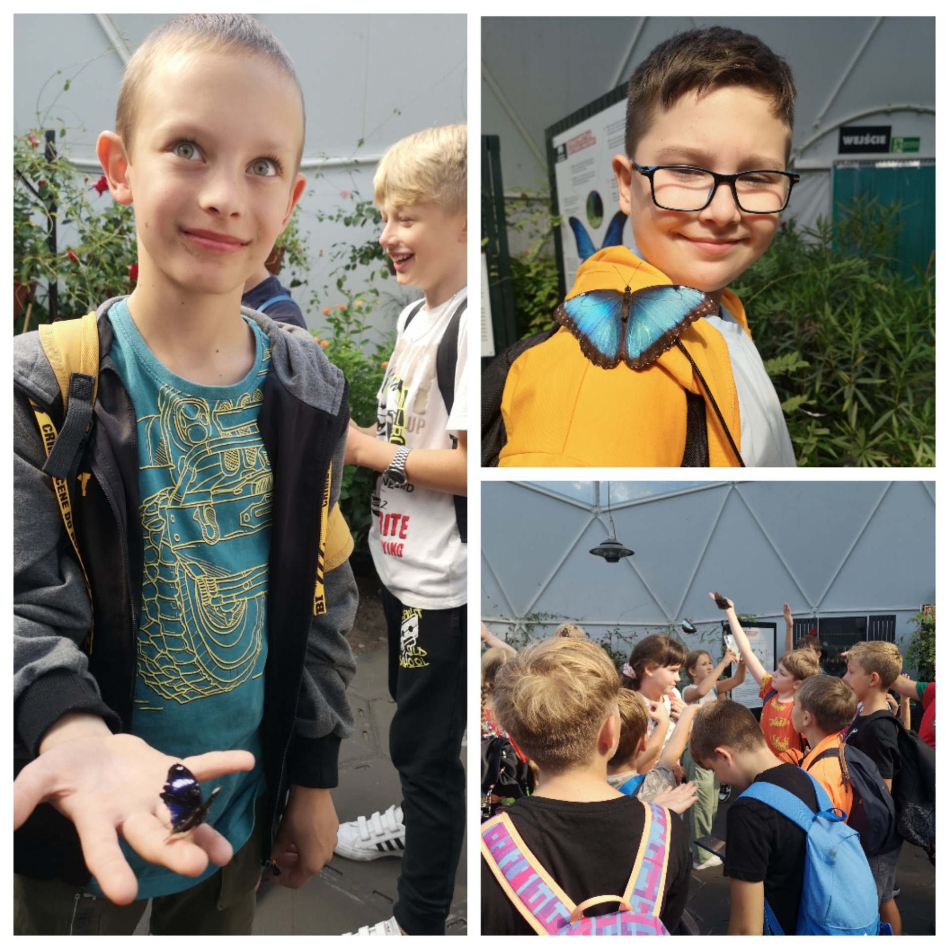 Klasy 4 w Łódzkim Ogrodzie Zoologicznym - Obrazek 3
