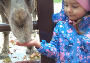 dzieci na wycieczce w mini zoo- Dobronianka