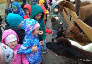 dzieci na wycieczce w mini zoo- Dobronianka