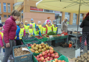 pani krysia wybiera owoce