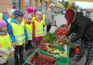 pani wybiera gruszki