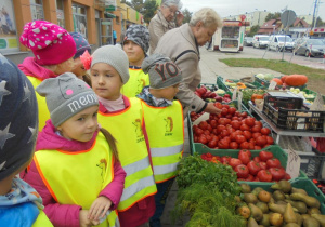 dużo tutaj pomidorów