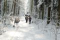 DSC_6436.JPG