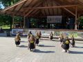 IMG_5274.jpg