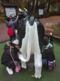 IMG_20181020_111039.jpg